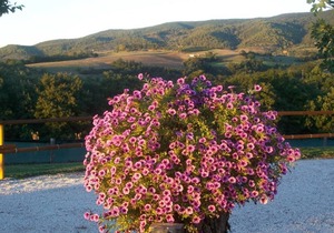 L'ORTO: apartment within farmhouse just 15 minutes far from Assisi.