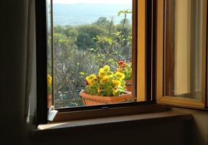 L'ORTO: apartment within farmhouse just 15 minutes far from Assisi.