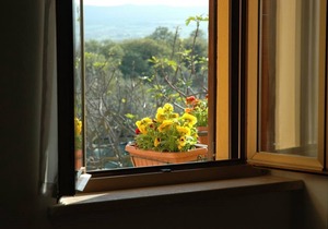 L'ORTO: apartment within farmhouse just 15 minutes far from Assisi.