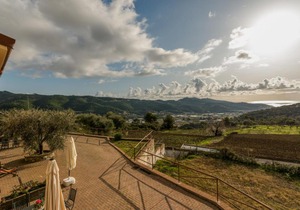 Locazione Turistica Ulivo