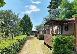 Lovely bungalow in Capraia e Limite with a shared pool