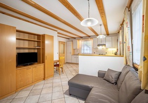 Pet-Friendly Holiday Apartment 'Kuenz Dolomiten Drau' with Mountain View