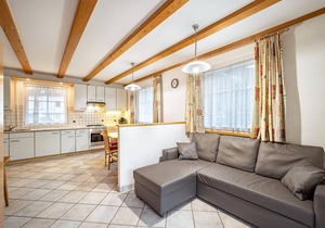 Pet-Friendly Holiday Apartment 'Kuenz Dolomiten Drau' with Mountain View