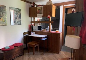renovated studio ski in ski out, CIR 0282