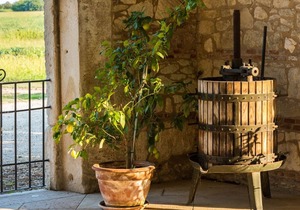 Rosmarino apartment with two bedrooms and one bathroom on the ground floor (apartment 1)