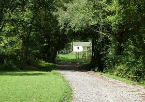 Shaggy Bark Camping5. A more private camping experience. The 75 acre Walker Farm