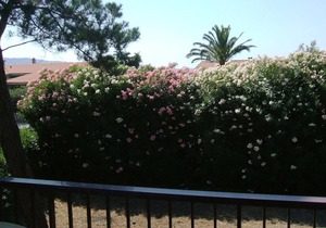 Villa Argentario - Villa Argentario