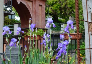 Villa Dacia home