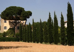 Villa Guadagni Cappelli