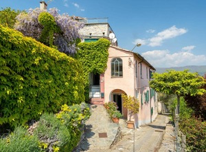 Bellissimi Holiday | Bellissimi
