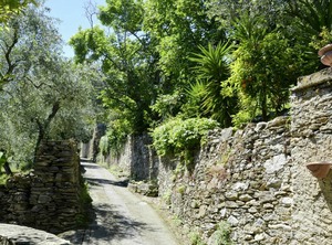Bellissimi Holiday | Bellissimi