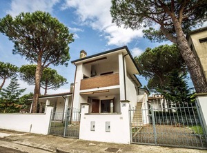 Pino | Lido di Volano