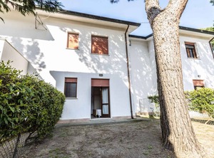 Pino | Lido di Volano