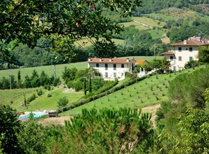 Vigna La Corte | Dicomano
