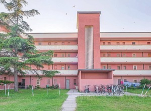 Ginestra | Lido delle Nazioni
