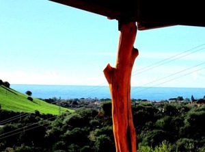 Solanas | Solanas