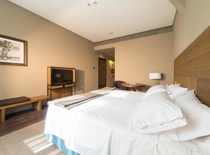 Grand Hotel Billia | Saint-Vincent