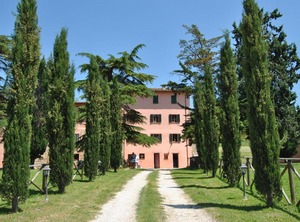 Il Moro Country | Montelovesco