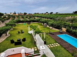 Villa Edo | San Leonardo