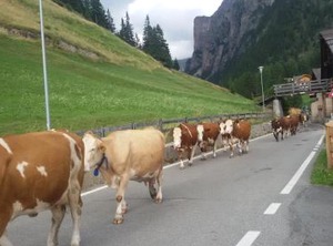 Garni La Majon | Selva di Val Gardena