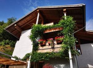 Dolomiti | Fiera di Primiero