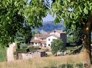 Trianon Country | Corbara
