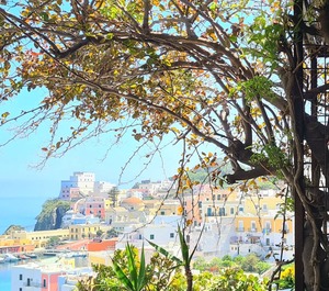 B La Limonaia Mare Ponza 