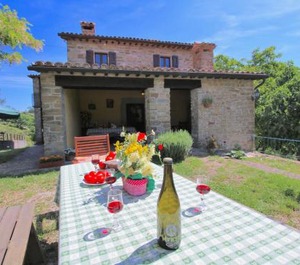 Farmhouse Swimming Terrace Garden Bbq 