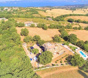 Gigli Del Belvedere 