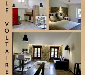 Le Voltaire 