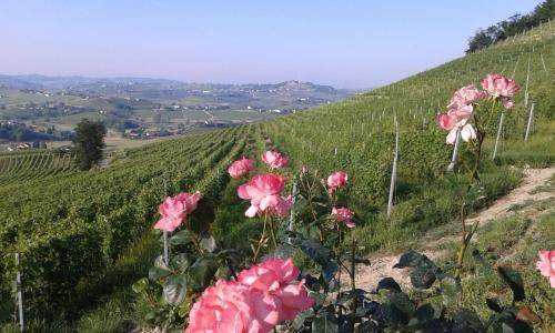 Agliano Terme House | 110 m² House ∙ 2 bedrooms ∙ 5 guests