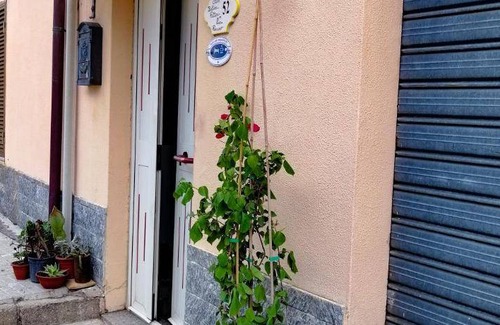 Orgosolo Bed & Breakfast | 14 m² Bed and breakfast ∙ 3 guests