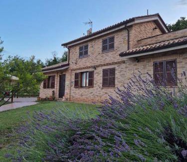 Falerone Bed & Breakfast | 15 m² Bed and breakfast ∙ 3 guests