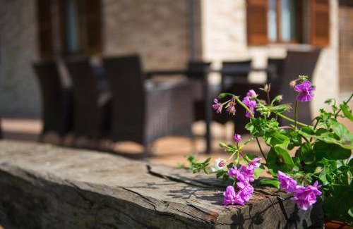 Falerone Bed & Breakfast | 15 m² Bed and breakfast ∙ 3 guests