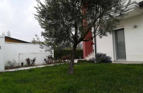 Noventa Padovana Bed & Breakfast | 16 m² Bed and breakfast ∙ 3 guests