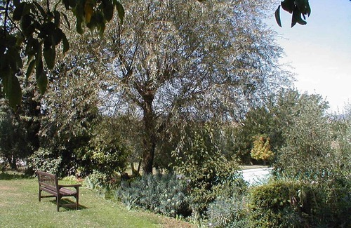 Marciano della Chiana House | 160 m² House ∙ 4 bedrooms ∙ 10 guests