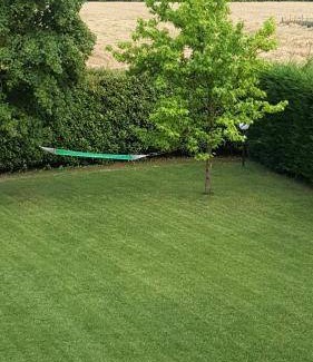 Giarre Bed & Breakfast | 17 m² Bed and breakfast ∙ 3 guests