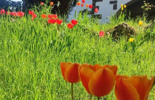 Castel d'Aiano Bed & Breakfast | 18 m² Bed and breakfast ∙ 2 guests