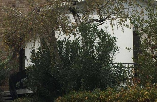 Rovigo Bed & Breakfast | 19 m² Bed and breakfast ∙ 3 guests