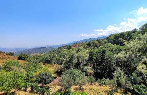 Caccuri Bed & Breakfast | 20 m² Bed and breakfast ∙ 3 guests