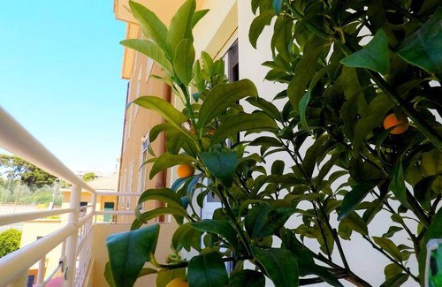 Cagliari Bed & Breakfast | 20 m² Bed and breakfast ∙ 3 guests