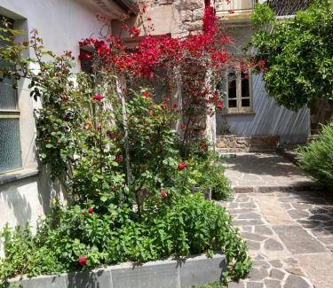 Sardara Bed & Breakfast | 20 m² Bed and breakfast ∙ 2 guests