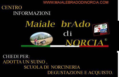 Norcia Bed & Breakfast | 20 m² Bed and breakfast ∙ 4 guests
