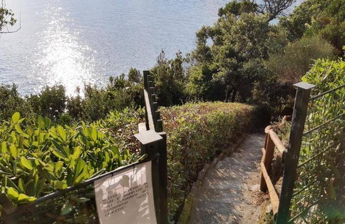 Moneglia Apartment | 22 m² Apartment ∙ 1 bedroom ∙ 2 guests