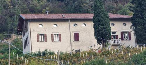 Martignano Bed & Breakfast | 22 m² Bed and breakfast ∙ 2 guests