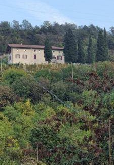 Martignano Bed & Breakfast | 22 m² Bed and breakfast ∙ 2 guests