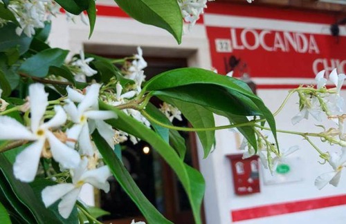 Quero Vas Bed & Breakfast | 25 m² Bed and breakfast ∙ 3 guests