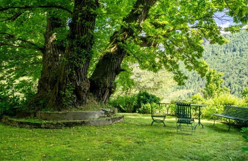 Ala di Stura Other | 270 m² Accommodation ∙ 7 bedrooms ∙ 12 guests