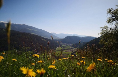 Casteldarne Apartment | 28 m² Apartment ∙ 1 bedroom ∙ 2 guests