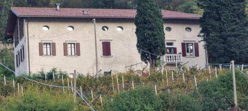 Martignano Bed & Breakfast | 28 m² Bed and breakfast ∙ 2 guests